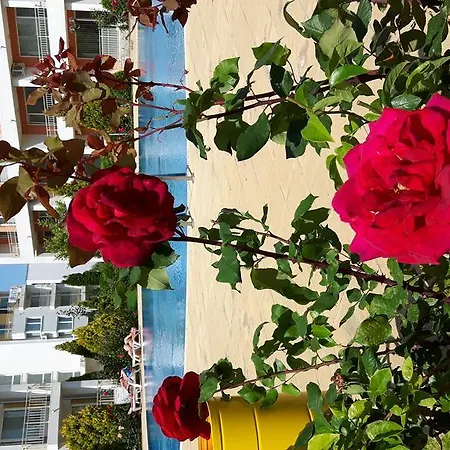 Apartment Nesebar Fort Club *